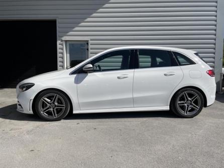 MERCEDES-BENZ Classe B 200 163ch AMG Line Edition 7G-DCT 8cv à vendre à Reims - Image n°8