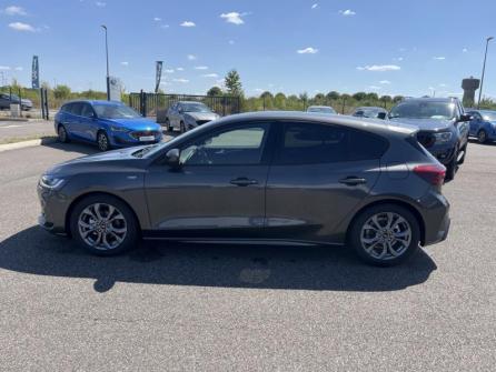 FORD Focus 1.5 EcoBlue 115ch ST-Line X BVA8 à vendre à Orléans - Image n°8