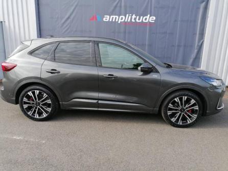 FORD Kuga 2.5 Duratec 180ch Hybrid FlexiFuel ST-Line X Powershift à vendre à Nevers - Image n°4
