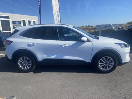 FORD Kuga 2.5 Duratec 190ch FHEV E85 Titanium BVA à vendre à Châteauroux - Image n°4