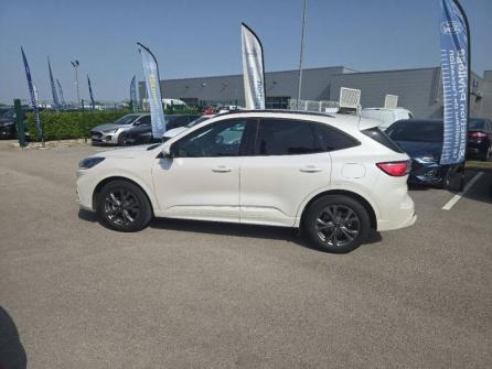 FORD Kuga 2.5 Duratec 190ch FHEV E85 ST-Line Business BVA à vendre à Dijon - Image n°8